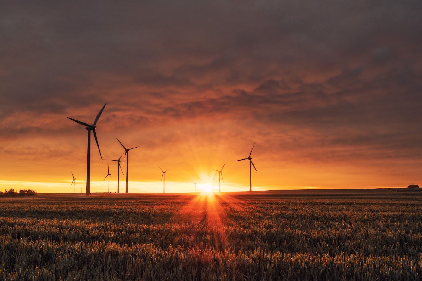 Wind turbines in a field at dusk